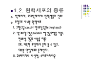 원핵세포와 진핵세포-6