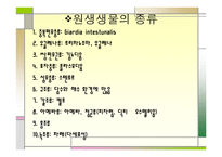 원핵세포와 진핵세포-7