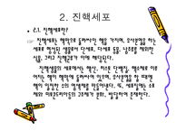 원핵세포와 진핵세포-11