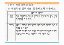 원핵세포와 진핵세포-12