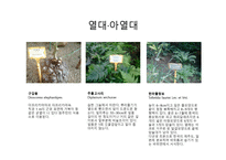 수목도감 열대 아열대 식물-9