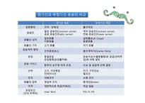 정기선 Liner-10