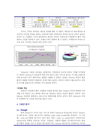 [마케팅전략] 패스트푸드점 서브웨이 SUBWAY 샌드위치 마케팅전략-8