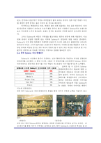 [마케팅전략] 패스트푸드점 서브웨이 SUBWAY 샌드위치 마케팅전략-14