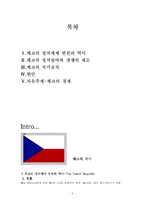 [비교정치] 체코의 정치-2