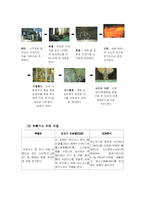 [지리조사] 쓰레기 처리과정-5