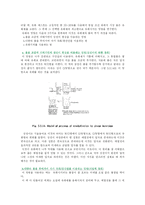 [식품첨가물학] 오일유화실험(Oil 유화실험)-15