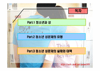 청소년 성문제 레포트-2
