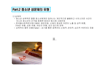 청소년 성문제 레포트-5