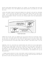 [기계공학] 내연기관 -gdi기관(Gasolin Direct Injection Engine)-4