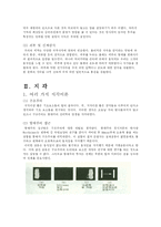 일반심리학(감각과 지각)-5