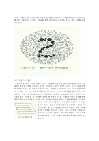 일반심리학(감각과 지각)-6