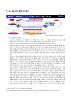 [국제물류론] 월마트 경영사례-14