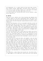 국민의 정부(김대중 대통령 집권정부)에 대한 정책 평가-16