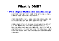 LG DMB폰 마케팅 전략-2