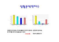 LG DMB폰 마케팅 전략-6
