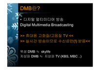 [마케팅] LG DMB폰의 마케팅전략방안-3