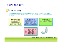 [마케팅] 가수 장나라의 국내시장에서의 remarketing(리마케팅)방향-7