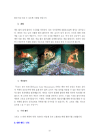[사업계획서] 여성 전문 패션 샵-10