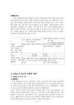 [마케팅전략] LG텔레콤 Phone&Fun 폰앤펀의 마케팅전략-11