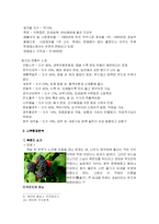 [마케팅기획서] 복분자주 활성화방안에대한 마케팅전략-7