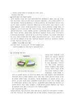 [마케팅] `LG텔레콤 Phone&Fun(폰앤펀)의 마케팅 전략`-2
