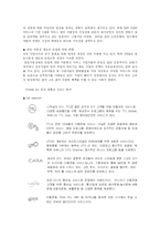 [마케팅] `LG텔레콤 Phone&Fun(폰앤펀)의 마케팅 전략`-3