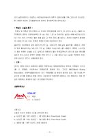 [마케팅기획서] 한국 이종격투기 마케팅기획서-12