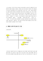 [마케팅] 태평양 설록차의 매출증대를 위한 마케팅 전략-13