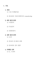[마케팅] 가수 장나라의 국내시장에서의 remarketing방향-2
