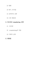 [마케팅] 가수 장나라의 국내시장에서의 remarketing방향-3