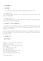 [마케팅] 가수 장나라의 국내시장에서의 remarketing방향-4