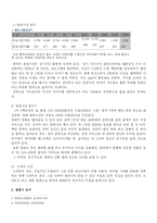 [마케팅] 가수 장나라의 국내시장에서의 remarketing방향-12