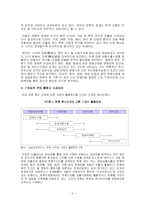 한류와 문화마케팅에 대한 고찰-9