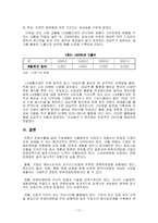 한류와 문화마케팅에 대한 고찰-12