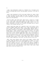 한류와 문화마케팅에 대한 고찰-13