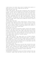 LG전자의 e-ERP 구축단계-4