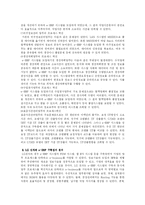 LG전자의 e-ERP 구축단계-5