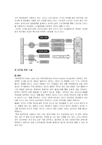 [음반시장] 디지털 시대의 음반시장 발달 과정과 현황-6