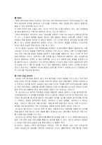 [음반시장] 디지털 시대의 음반시장 발달 과정과 현황-7