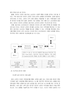 [온라인커뮤니케이션] 신문과 인터넷, 인터넷신문-9