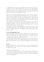 [인터넷광고홍보] 인터넷 PR 현황- 기업의 인터넷을 이용한 PR 중심으로-9