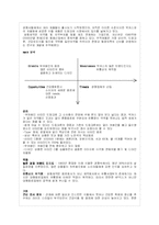 [광고원론] 광고기획과 전략의 국내사례-12