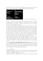 [광고원론] 광고 기획과 전략-4
