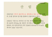야생자원 Issue-2
