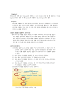 Enzymerestriction Ligation-4