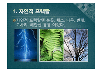 기하학의 세계 3-12