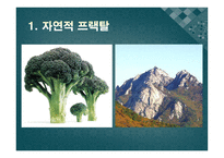 기하학의 세계 3-14