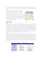 자외선 차단제 속의 성분들-2