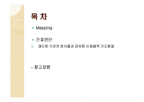 건강문제 mapping폐렴-2